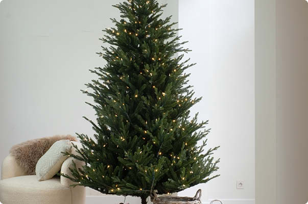 Our Nordic Christmas